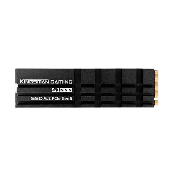 AITC KINGSMAN S1000 4TB M.2 2280 PCIe NVMe 2.0 SSD With DRAM & Heatshink